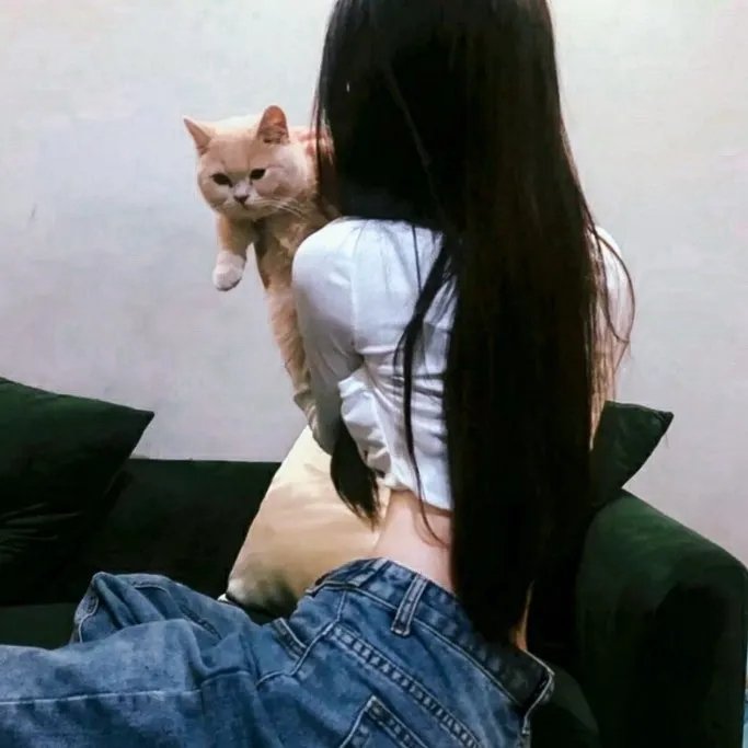 我的英雄学院第六季