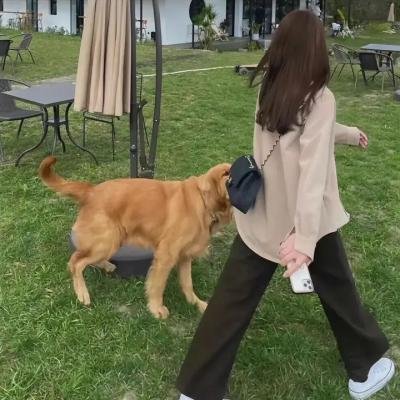 爱的一课